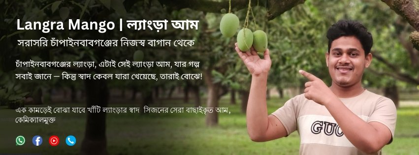 Best Chapainawabganj Langra Mango ল্যাংড়া আম