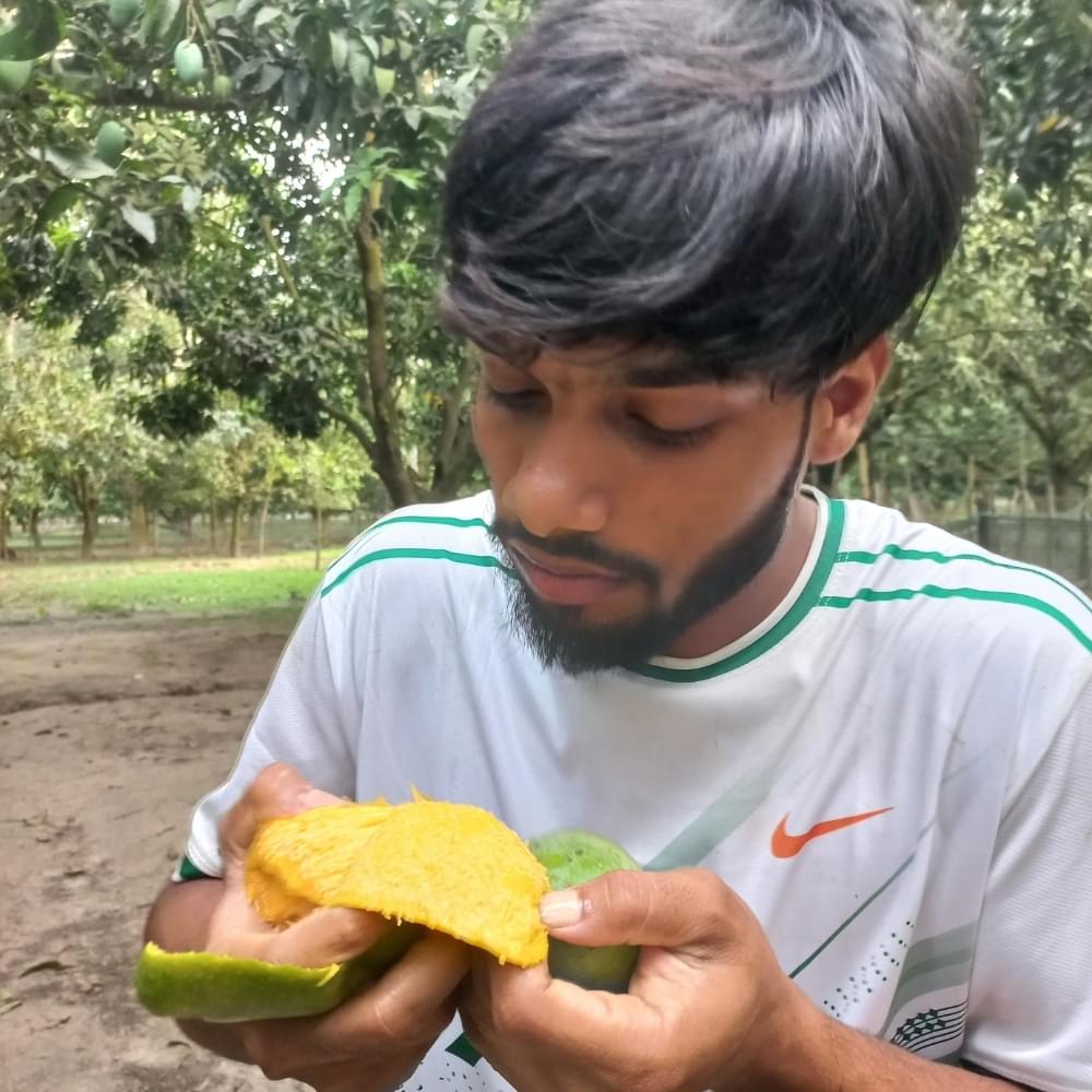 Buy Now Chapai Langra Mango