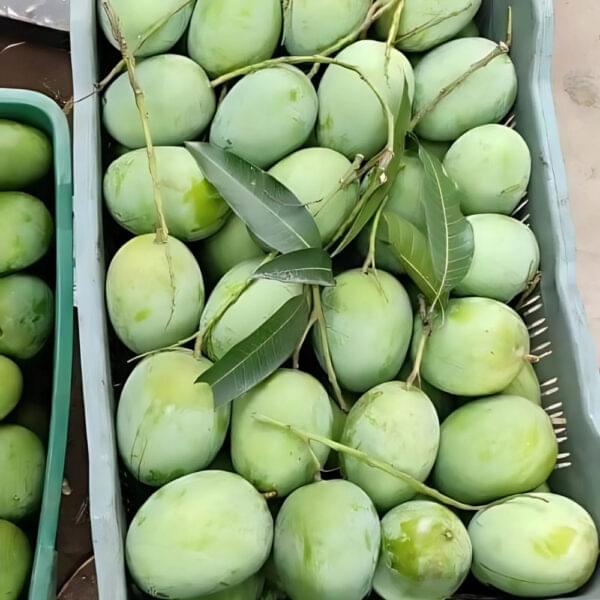 ল্যাংড়া আম